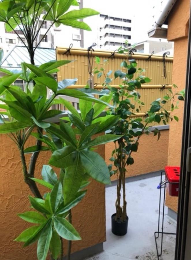 新宿/新大久保駅徒歩3分120㎡一軒家貸切り Apartemen Tokyo